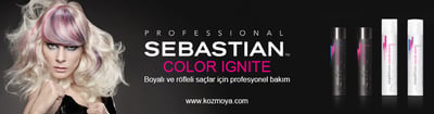 SEBASTIAN Color Ignite