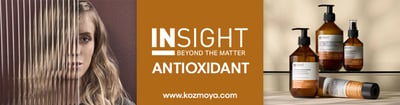 insight antioxidant insight antioxidant canlandırıcı saç ürünleri