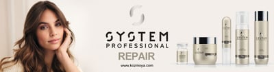 system professional repair system professional repair