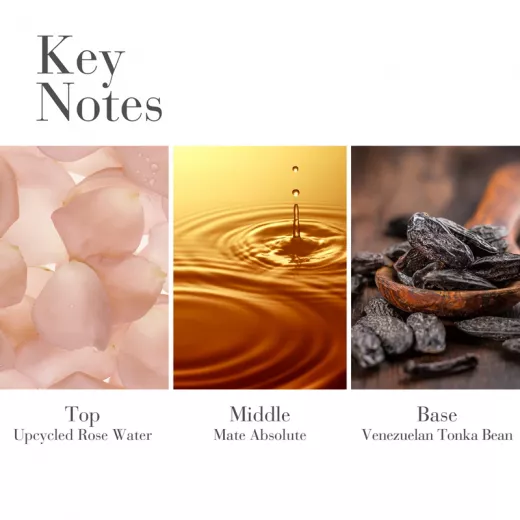 Elizabeth Arden White Tea EDP Kadın Parfümü 100ml
