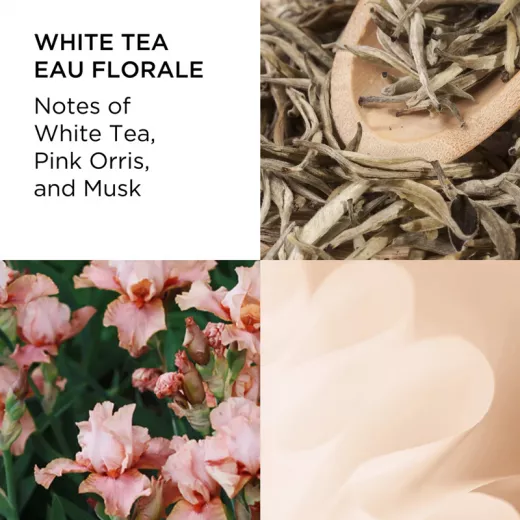 Elizabeth Arden White Tea Eau Florale EDT Kadın Parfümü 100ml