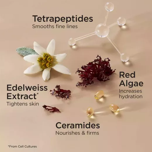 Elizabeth Arden Advanced Ceramide Toparlayıcı ve Sıkılaştırıcı Gece Kremi 50ml