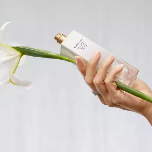 Elizabeth Arden White Tea EDT Kadın Parfümü ve Vücut Kremi Seti