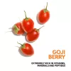 Wella Nutri Enrich Kuru ve Yıpranmış Saçlar İçin Besleyici Şampuan 500ml