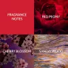 Christina Aguilera Cherry Noir EDP Kadın Parfümü 15ml