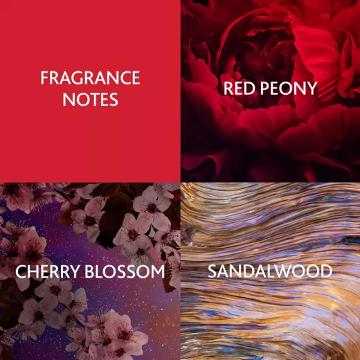 Christina Aguilera Cherry Noir EDP Kadın Parfümü 15ml