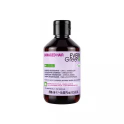 EveryGreen Damaged Hair Yıpranmış Saçlar İçin Onarıcı Sülfatsız Şampuan 250ml