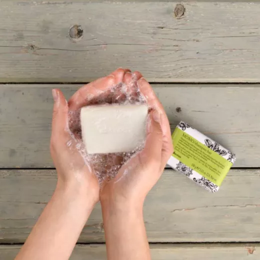 Davines Momo Kuru Saçlar İçin Parabensiz Sülfatsız Nemlendirici Katı Şampuan 100g