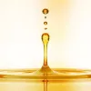 OROFLUIDO Güzellik İksiri Argan Yağı 100ml