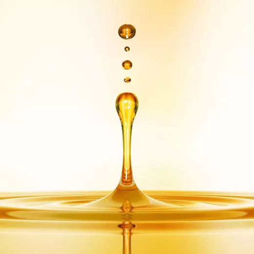 OROFLUIDO Güzellik İksiri Argan Yağı 100ml