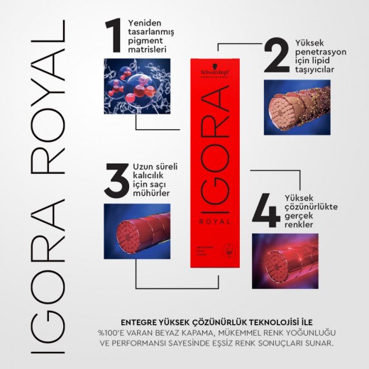 SCHWARZKOPF Igora Royal Absolutes Olgun Saçlar İçin Beyaz Kapatıcı Yaşlanma Karşıtı Saç Boyası 60ml | 7-60 Kumral Çikolata Doğal