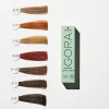SCHWARZKOPF Igora Zero AMM Amonyaksız Saç Boyası 60ml | 4-68 Kahve Çikolata Kızıl