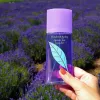 Elizabeth Arden Green Tea Lavender EDT Kadın Parfümü 100ml