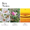 Elizabeth Arden White Tea Wild Rose EDT Kadın Parfümü 100ml