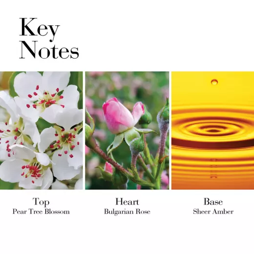 Elizabeth Arden White Tea Wild Rose EDT Kadın Parfümü 100ml