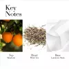 Elizabeth Arden White Tea Mandarin Blossom EDT Kadın Parfümü 100ml