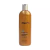ArganPlex Kuru ve Yıpranmış Saçlar İçin İpek ve Argan Şampuanı 380ml