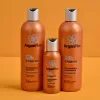 ArganPlex Kuru ve Yıpranmış Saçlar İçin İpek ve Argan Saç Kremi 380ml