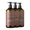 Nashi Filler Therapy Yıpranmış Saçlar İçin Onarıcı Salon Bakım Seti 3x1000ml